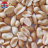 Member's Mark Extra Large Virginia Peanuts,2.1 lbs